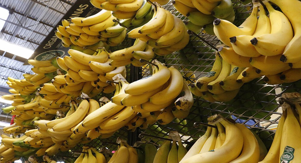 العثور على طن من الكوكايين بميناء لندن مخبأة في الموز