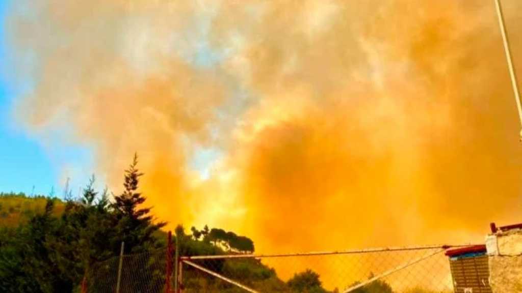 حريق في “تلة الصليب”.. ونداء من اهالي دير القمر وكفرقطرة للجيش