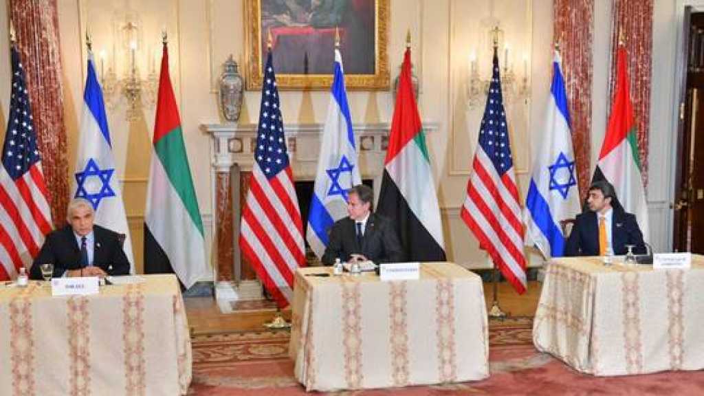 وزير خارجية الإمارات: لا نريد ظهور حزب الله آخر في اليمن وراضون عن علاقتنا بإسرائيل