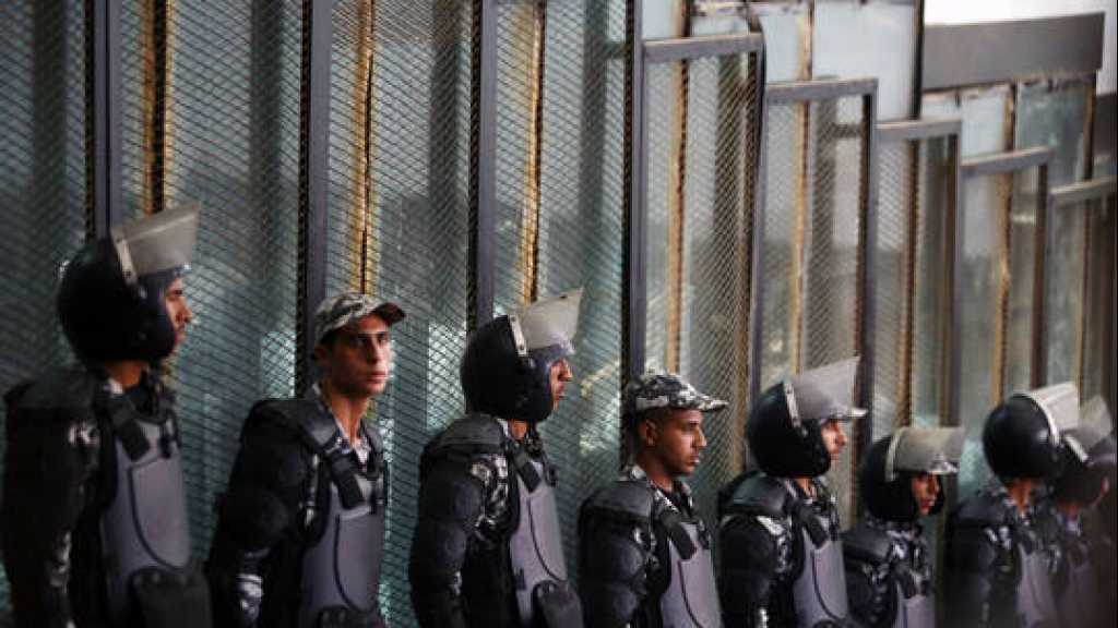 حادثة غير مسبوقة تثير ضجة في مصر.. الأمن يحقق في إجبار رجل لزوجته على مضاجعة كلب