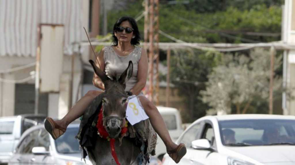 الكلفة الباهظة للنقل تعيد الحمير إلى الخدمة في لبنان