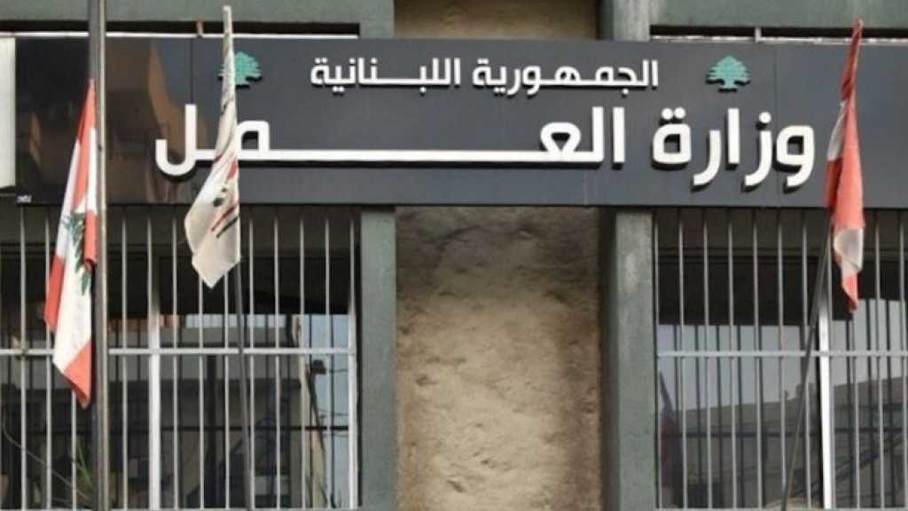 وزارة العمل: مشروع قانون لاستفادة العمال الزارعين والعاملين في المؤسسات الزراعية من تقديمات صندوق الضمان