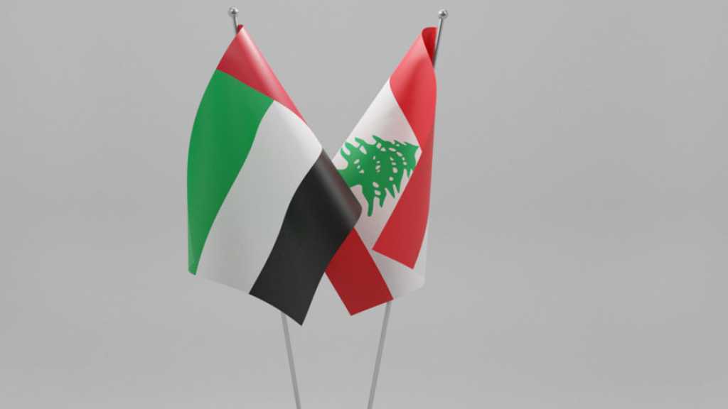 في دبي... عقاب من نوع آخر للبنانيين!