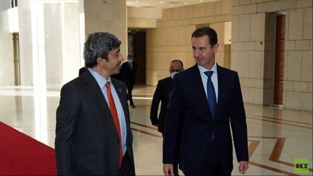 الإمارات تعلن عن هدف زيارة وزير خارجيتها إلى دمشق ولقائه بالأسد