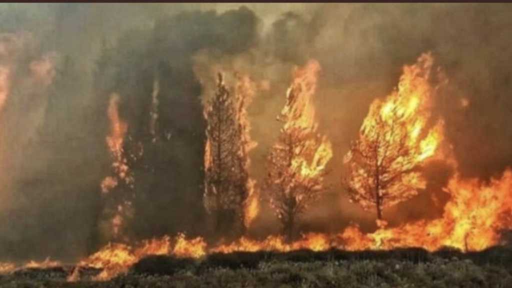 الحرائق مستمرة في خراج باب مارع وعيتنيت بالبقاع الغربي