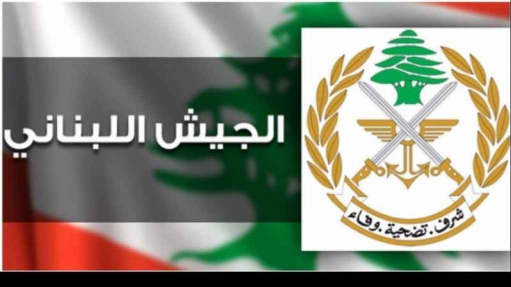 الجيش: مسح مواقع المقالع والكسارات والمرامل لتبيان الضرر البيئي (فيديو)