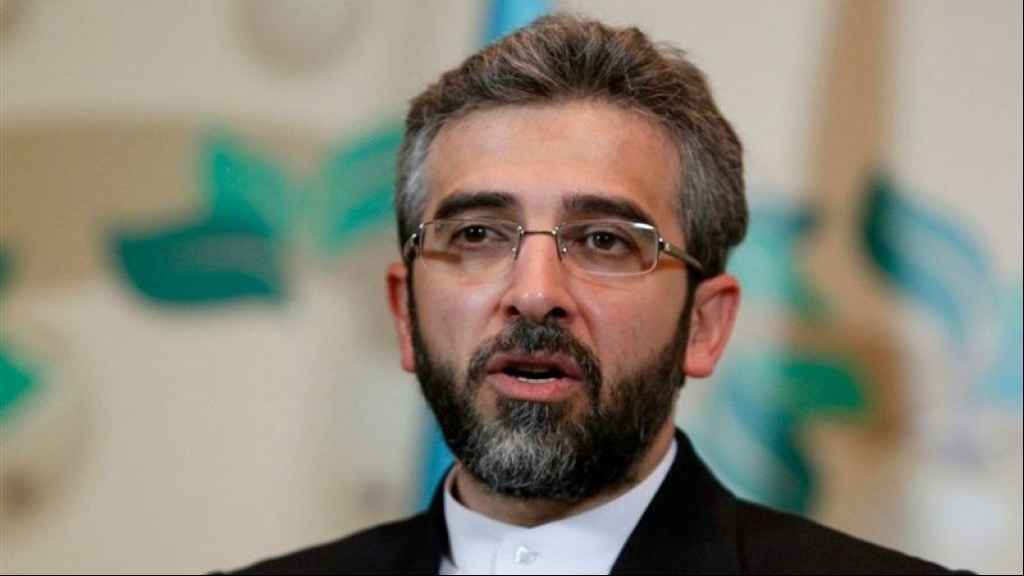 باقري: مفاوضات فيينا ايجابية وتمضي قدماً