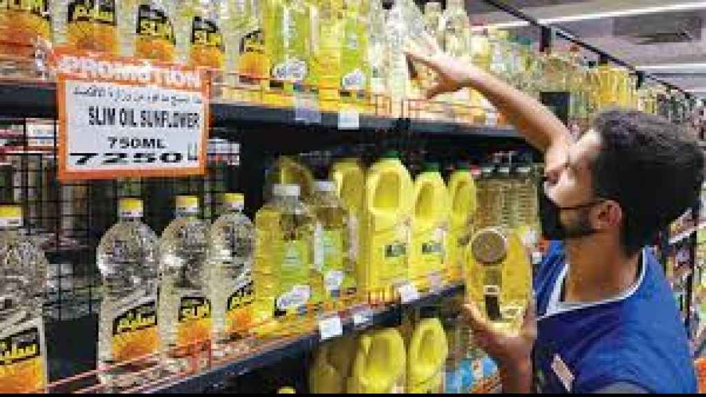 حكومة الـ«كوما»: لجنة «الأزمة» لا تنعقد!