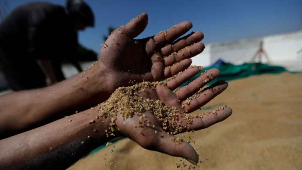 فشل في الاستيراد وفي تنظيم التوزيع