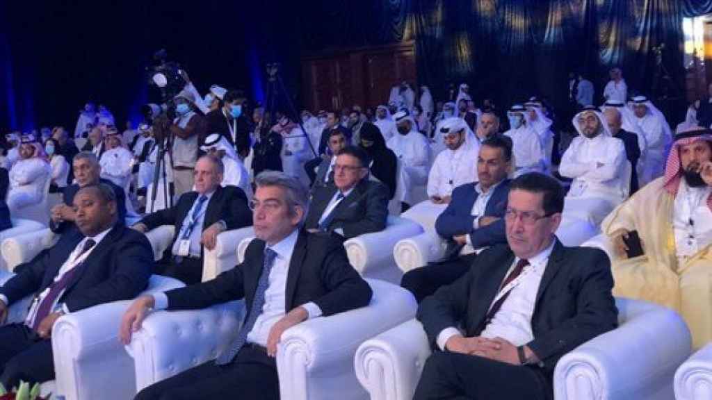 فياض التقى وزير الطاقة القطري: لمناقصة من أجل استيراد الغاز