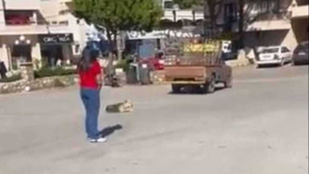 بالفيديو: في البقاع الغربي.. فتاة تقتل كلباً بطريقة وحشية!