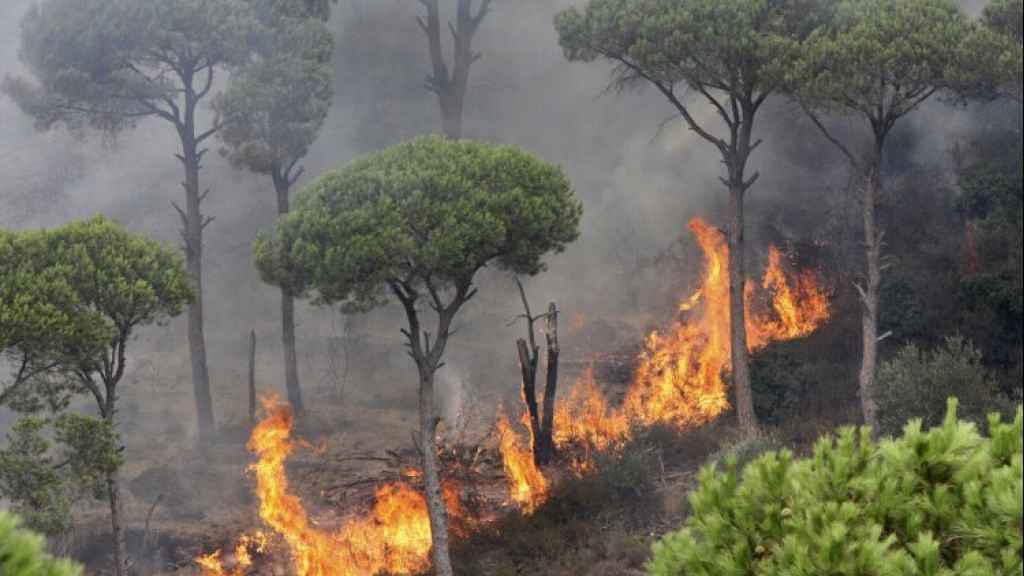 تنبيه من ارتفاع خطر اندلاع حرائق الغابات!
