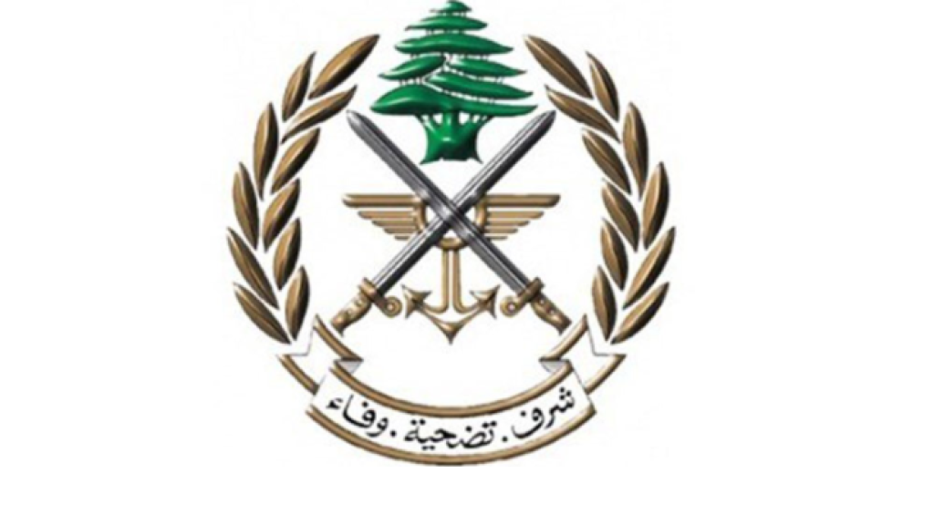 قيادة الجيش: طيران ليلي للقوات الجوية