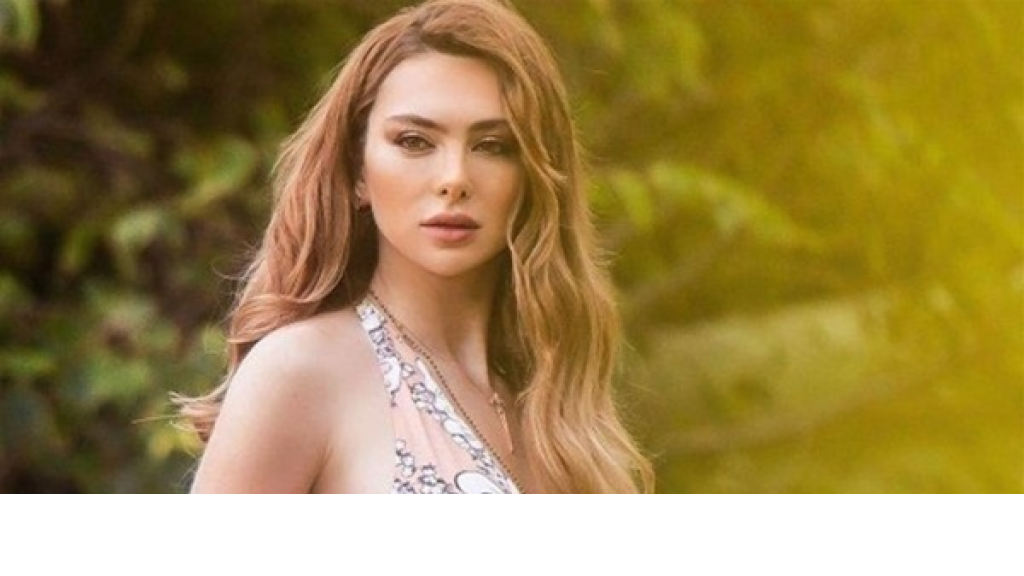 بالفيديو : في أوّل تعليق لها بعد إستدعائها إلى التحقيق... ستيفاني صليبا تخرج عن صمتها: 