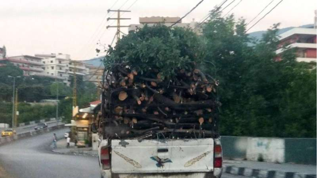 شتاء لبنان... كأنه صراع بقاء!