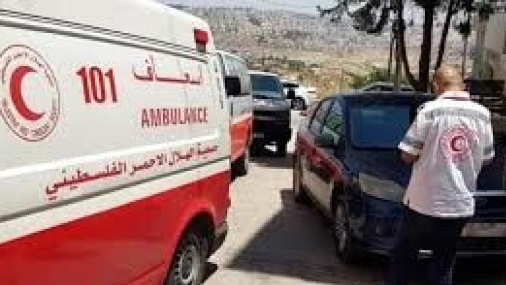 مستوطن يدهس طفلة فلسطينية قرب قلقيلية.. 