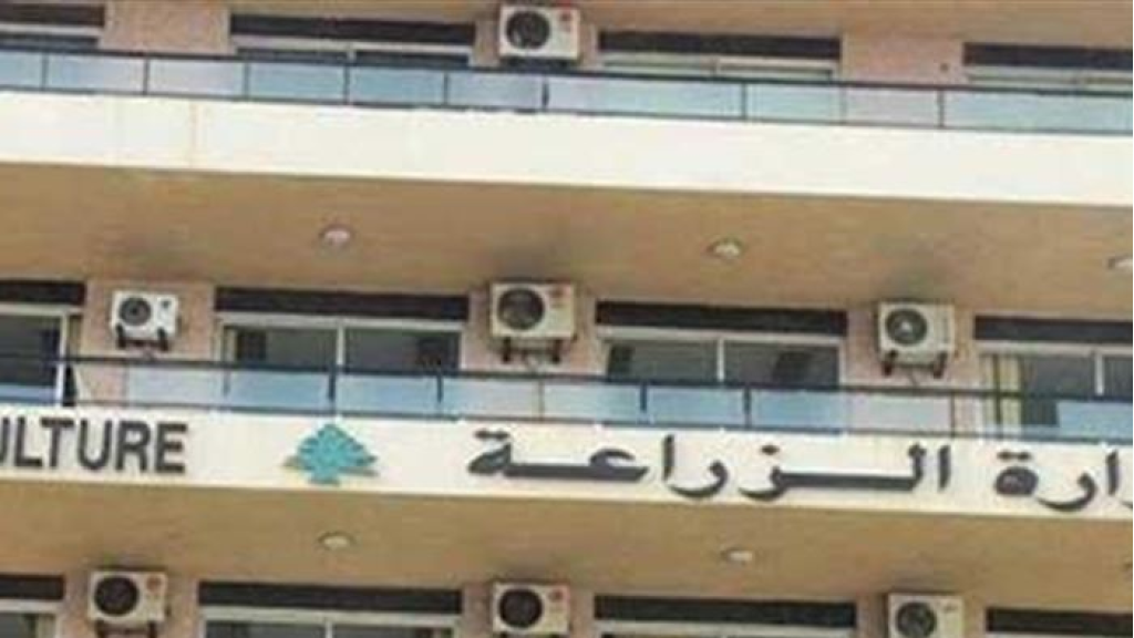 سيلفات ام نيترات الامونيوم.. هذا ما اعلنته 