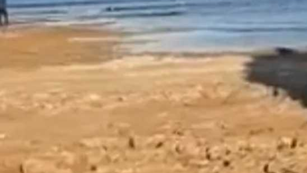 وقف توليد الكهرباء من سد بشمال سوريا لانخفاض منسوب المياه