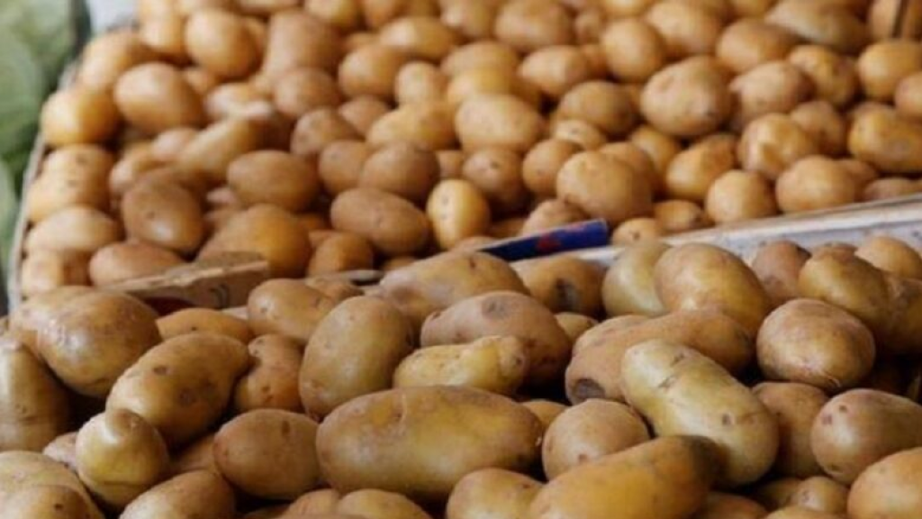توضيح حول ما يُثار عن إدخال باخرتَي بطاطا مصريّة إلى لبنان