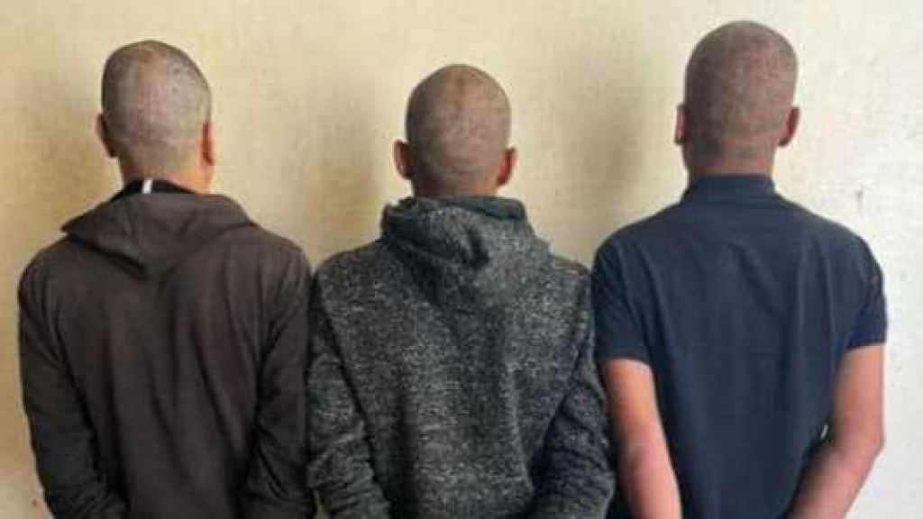 مكمن محكم في عاريا يوقع بعصابة سرقة