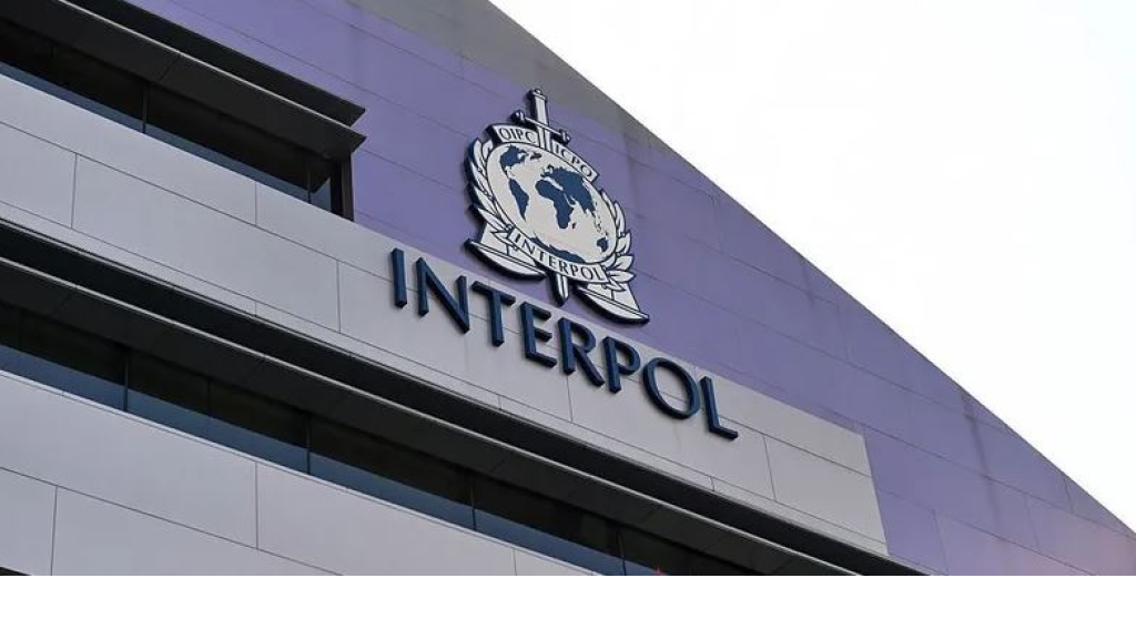 إنتربول تلاحق 