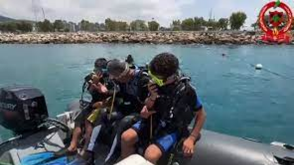 بالفيديو.. الدفاع المدني يوضح حقيقة وجود “قرش” على الشاطئ اللبناني