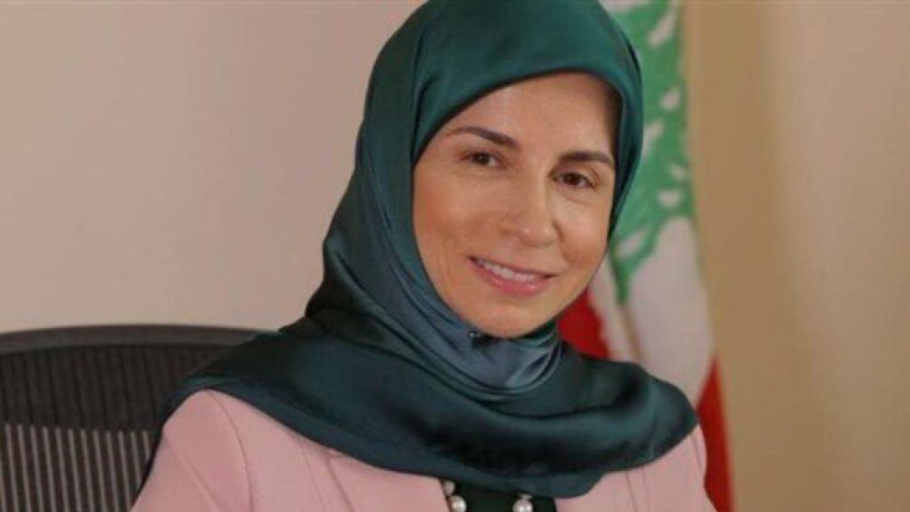 عز الدين : الخطة الوطنية حددت الاولويات وفقا لهذه التحديات والعوائق