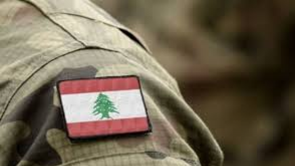 الجيش: تفجير ذخائر في ضهر البيدر..