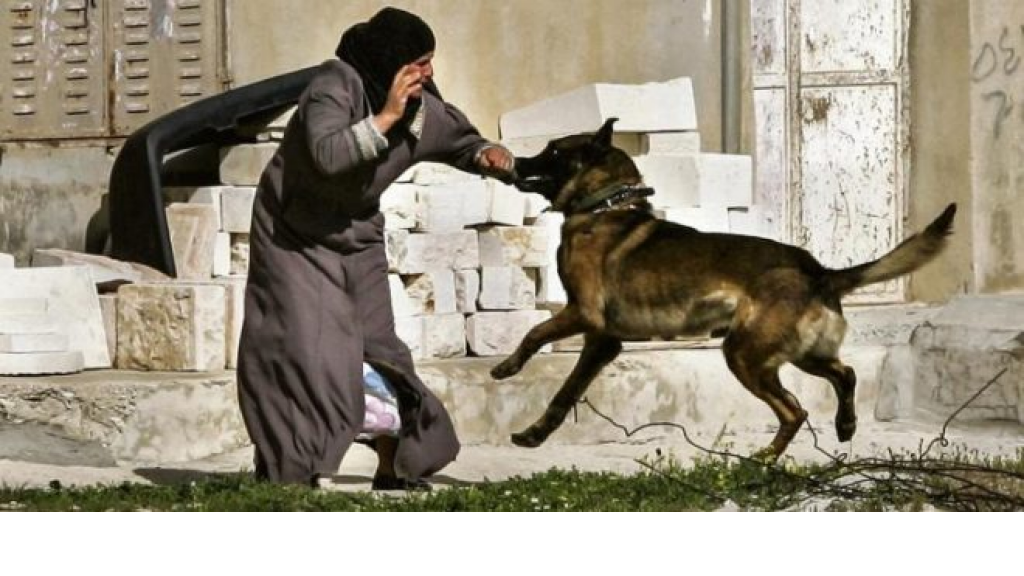 تفاصيل مروعة.. الاحتلال يجبر فلسطينيات على التعري أمام الأطفال