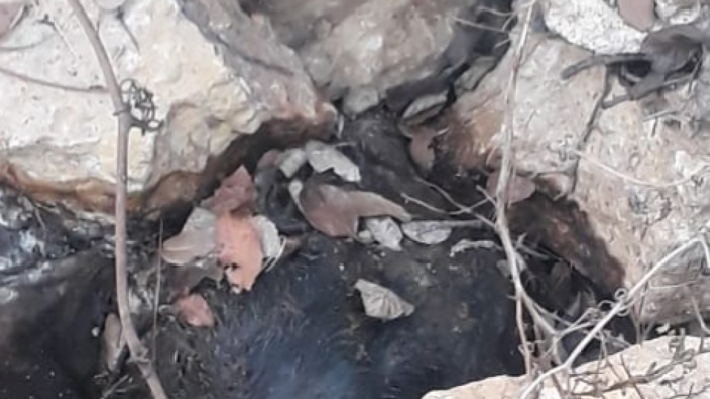 بعد العثور عليه جثة.. 