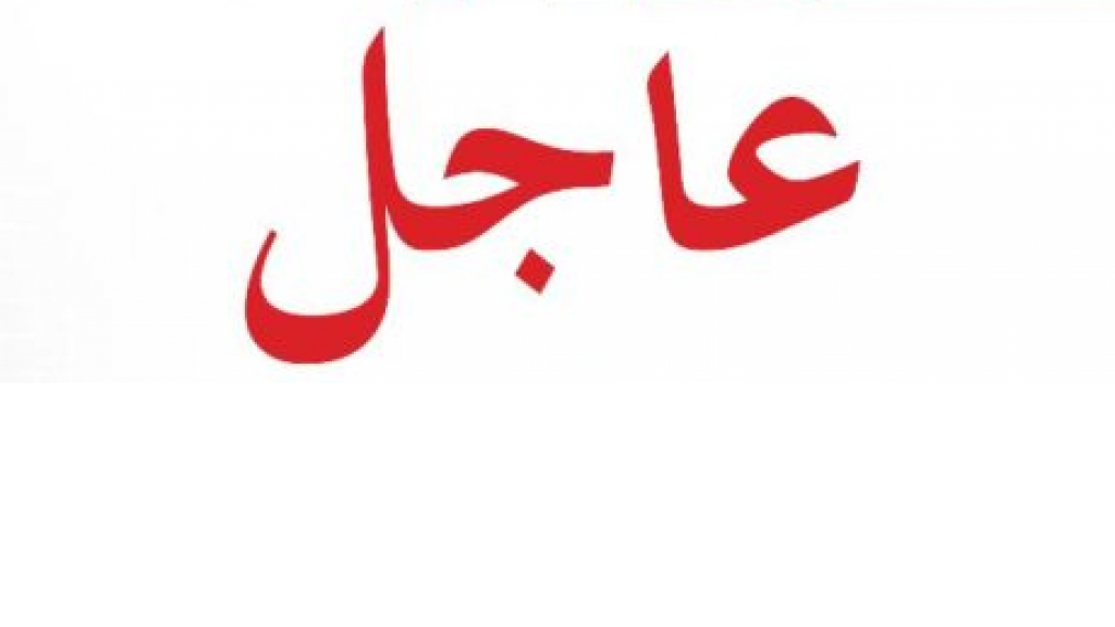 نائبة مساعد وزير الدفاع الأميركي دانا سترول لـ “الجزيرة”: الاحتكاكات الجوية الروسية الأميركية في سوريا غير مهنية