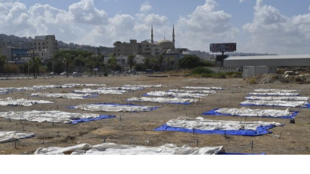 هدنة في عين الحلوة؟