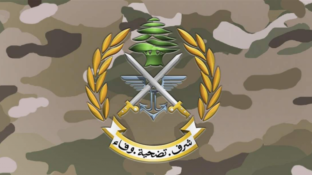 الجيش: إحباط محاولة تسلل سوريين عبر الحدود بطريقة غير شرعية