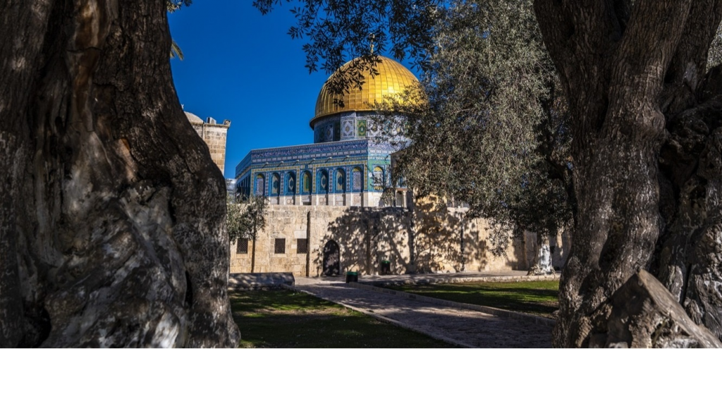 دولة أفريقية تقرر نقل سفارتها من تل أبيب إلى القدس.. من هي؟