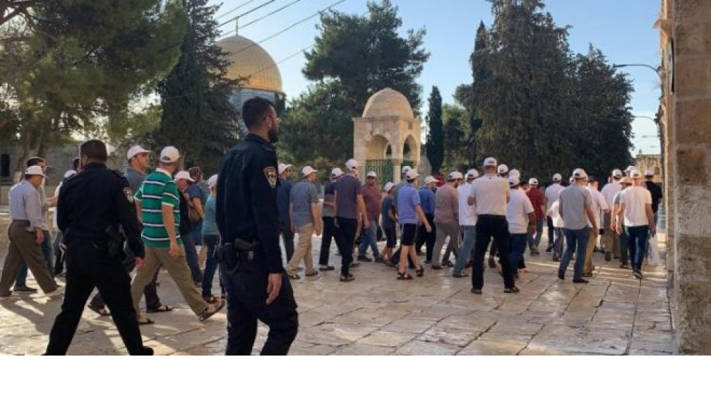 مستوطنون يؤدون رقصات استفزازية قرب الأقصى