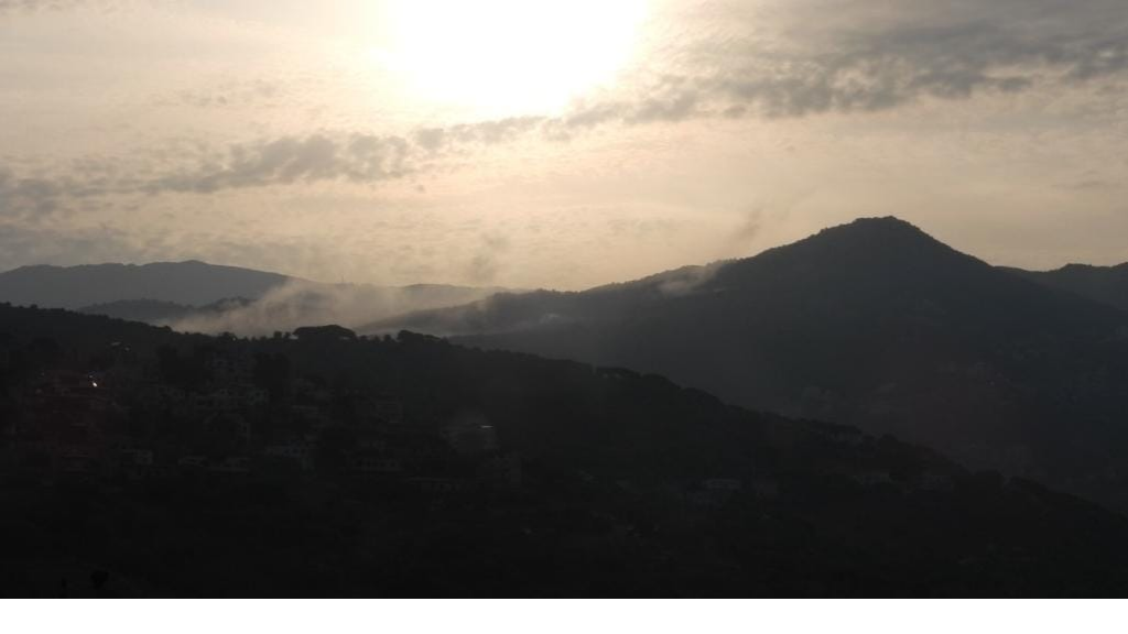 الجيش اللبناني يصدر بيانا عن تعرض مناطق في الجنوب للقصف من قبل العدو الإسرائيلي