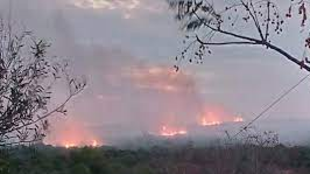 قصف مدفعي معادٍ على اللبونة