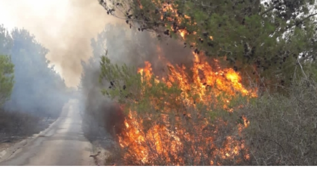 اشتعال النيران بالأحراج المتاخمة للخط الازرق قبالة بلدات الناقورة وعلما الشعب والضهيرة