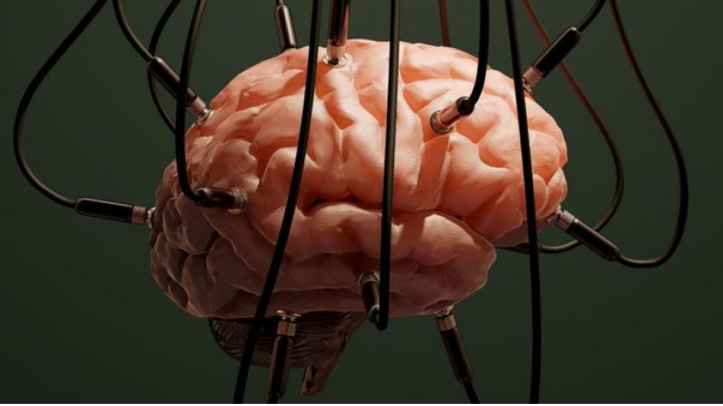 اختراع جهاز يحافظ على الدماغ حيًّا أثناء فصله عن الجسم!