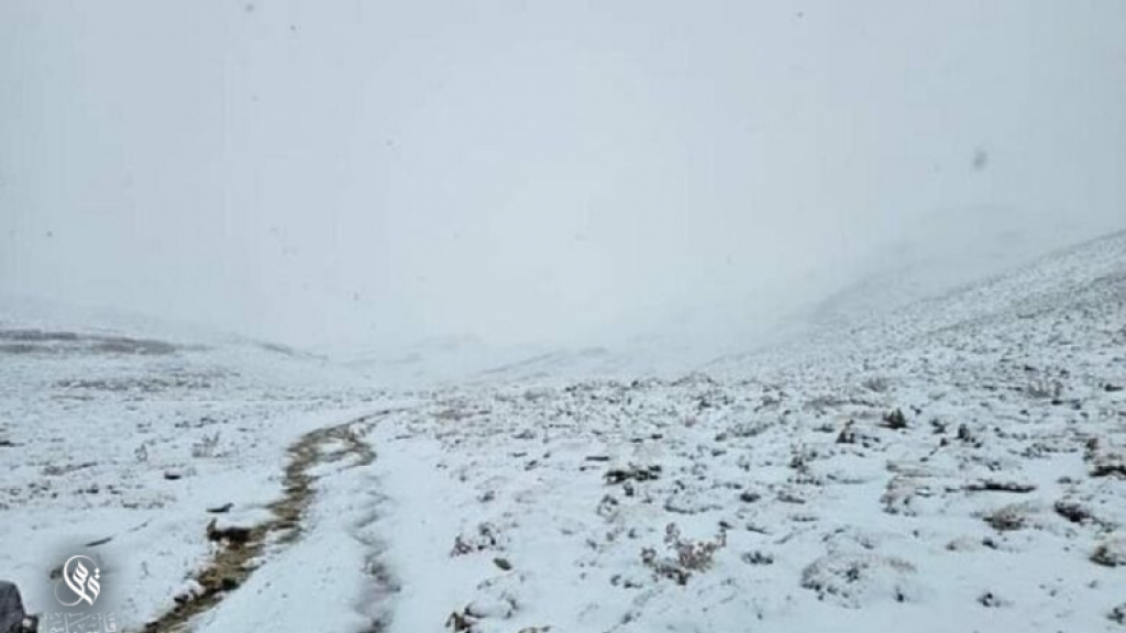 الثلوج تغطي مرتفعات الضنية وتقطع طريقها مع الهرمل