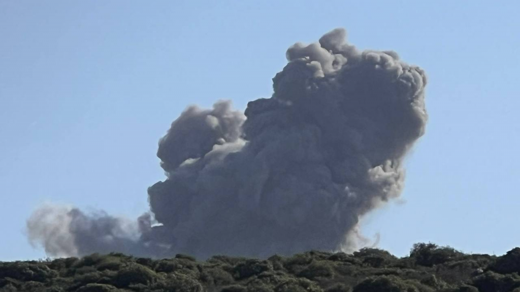 غارة معادية على أحراج 