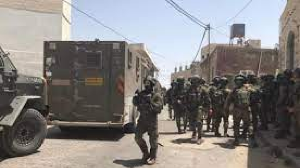مشاهد 