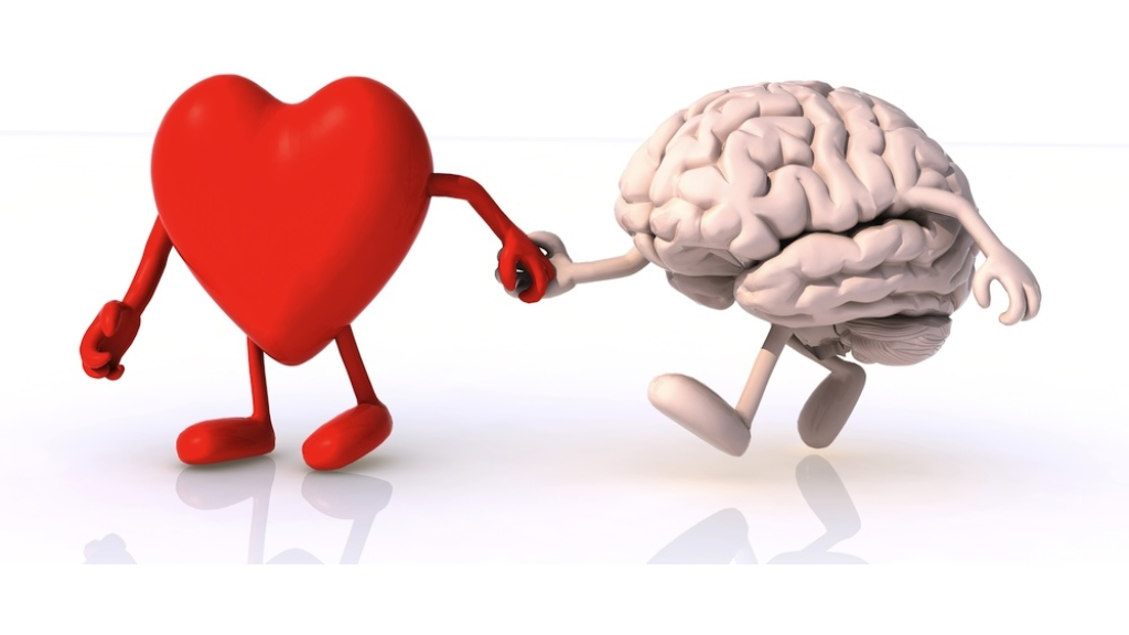 دراسة تكشف اتصالًا جديدًا بين القلب والدماغ !