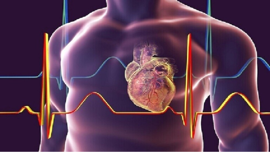 ما هي مؤشرات القلب السليم؟!