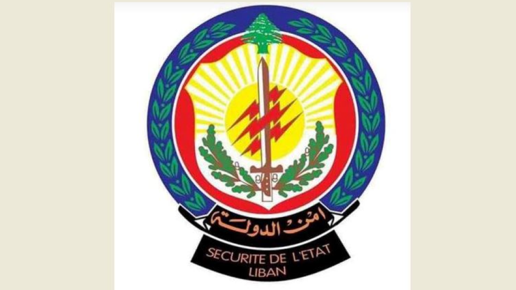 أمن الدولة توقف مصريا يرهب المواطنين في المتن