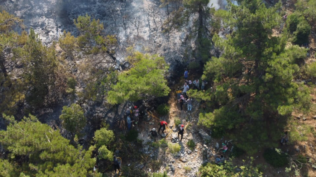 مختار عندقت طالب البلدية بوقف الأعمال غير القانونية في الأحراج