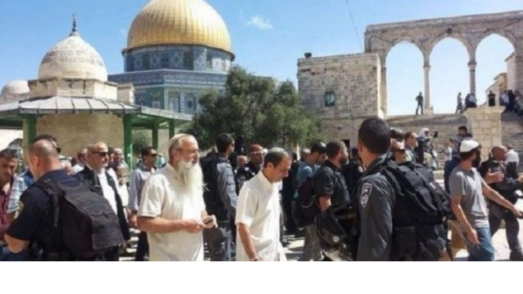للشهر الخامس على التوالي.. مستوطنون يقتحمون المسجد الأقصى