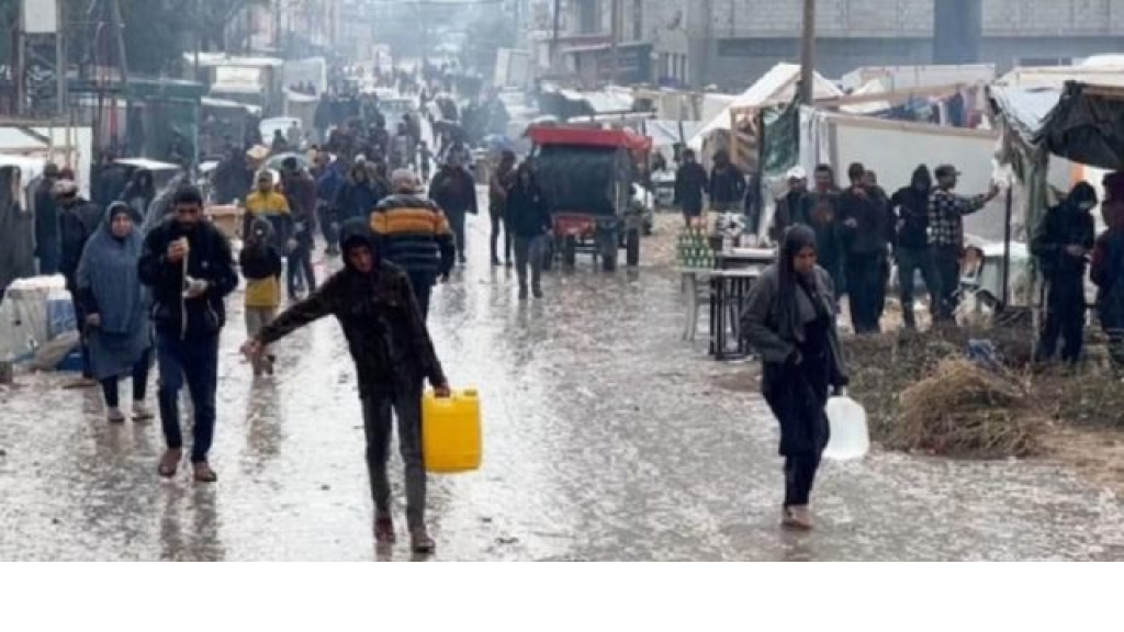 الفلسطينيون يكافحون للعثور على مياه نظيفة في رفح