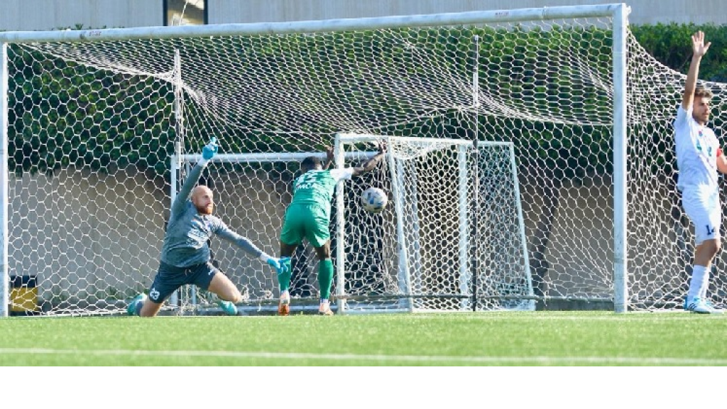 فوزان للحكمة والتضامن صور بسداسية اواخر الدوري اللبناني الكروي