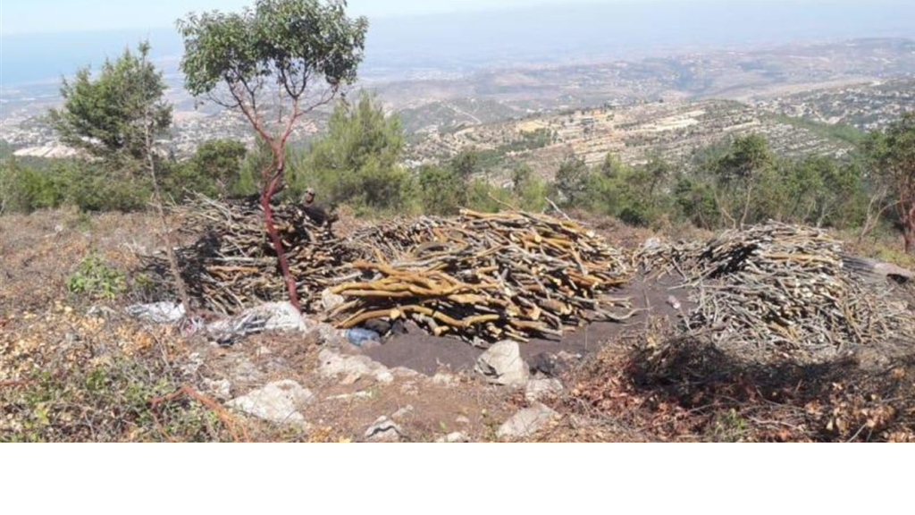 بيان صادر عن وزارة الزراعة عن القطع الجائر للأشجار